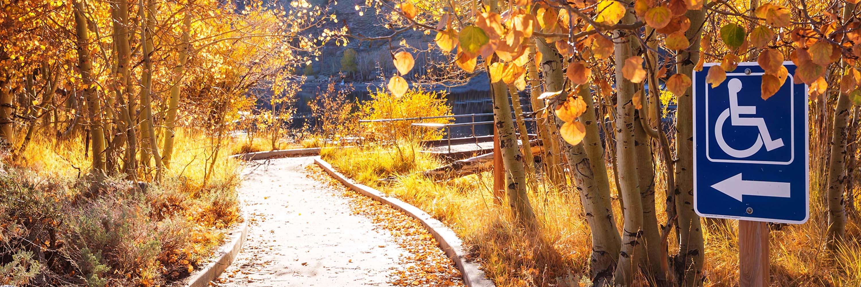 A nature path in the background, with a handicap sign in the foreground