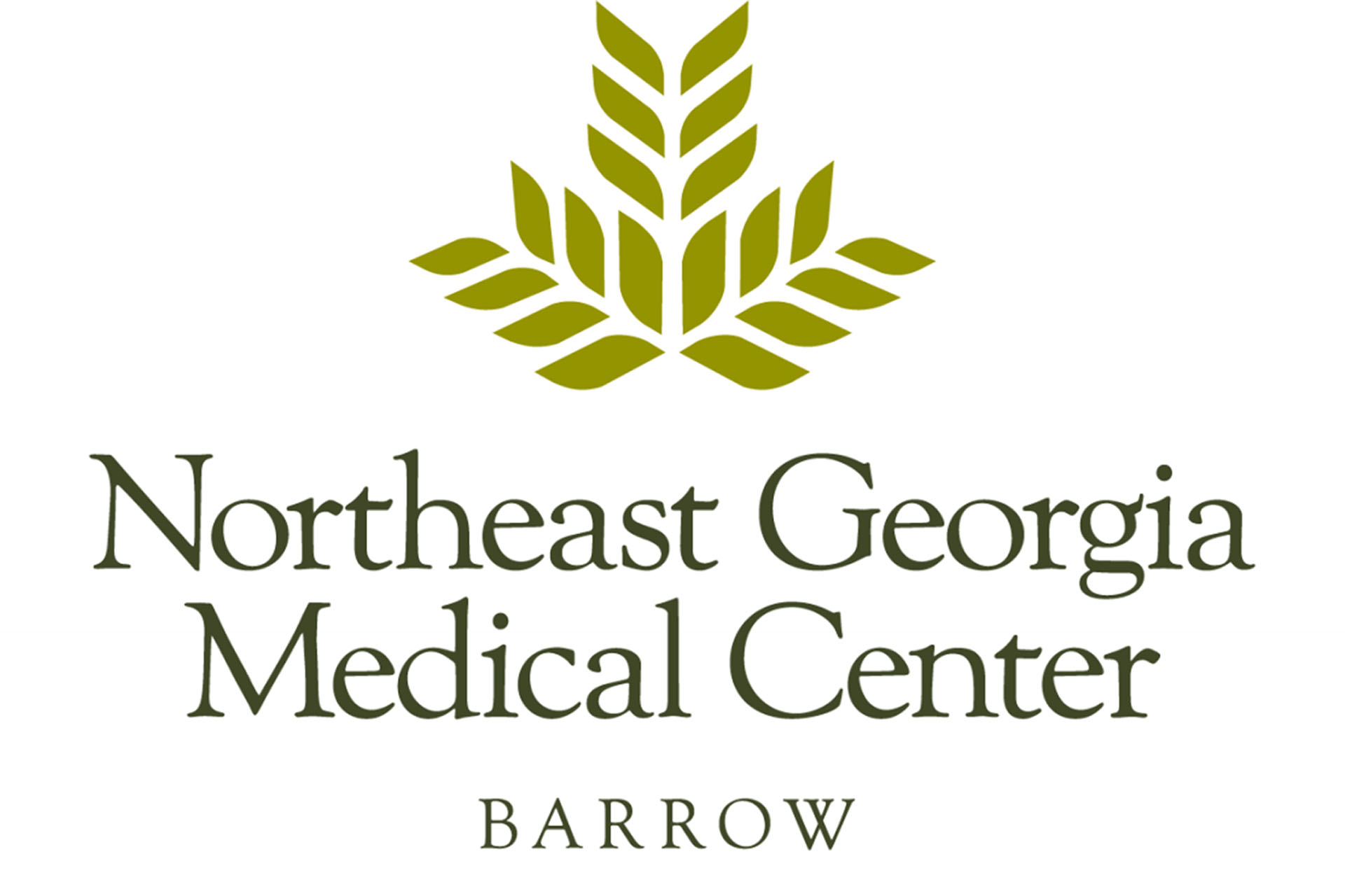 NGMC_Barrow_logo_Stack