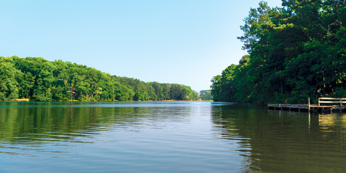 Environmental Production Image